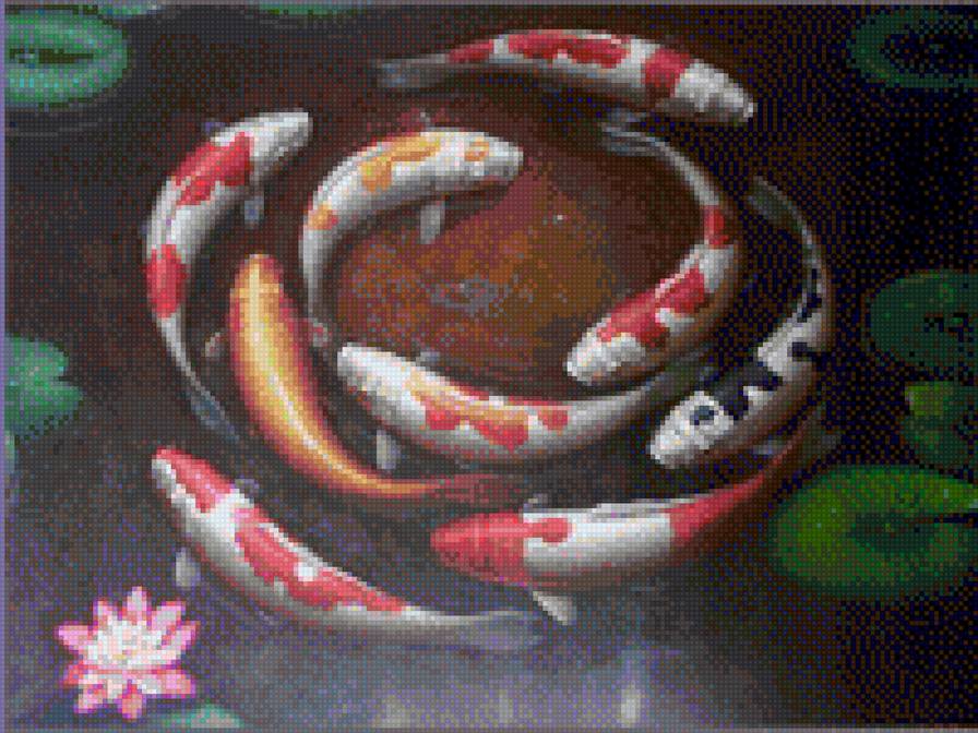 9 карпов - предпросмотр