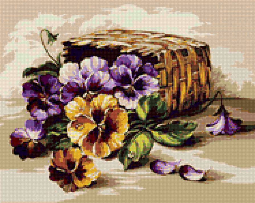 виола - предпросмотр