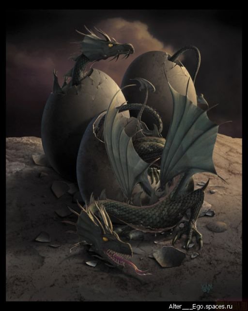 Дракон - драконы, фентези - оригинал