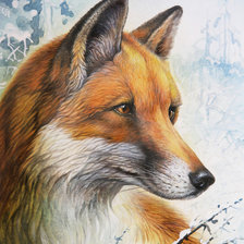 мир животных