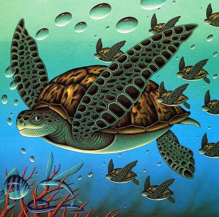 Подводный мир - черепаха - оригинал