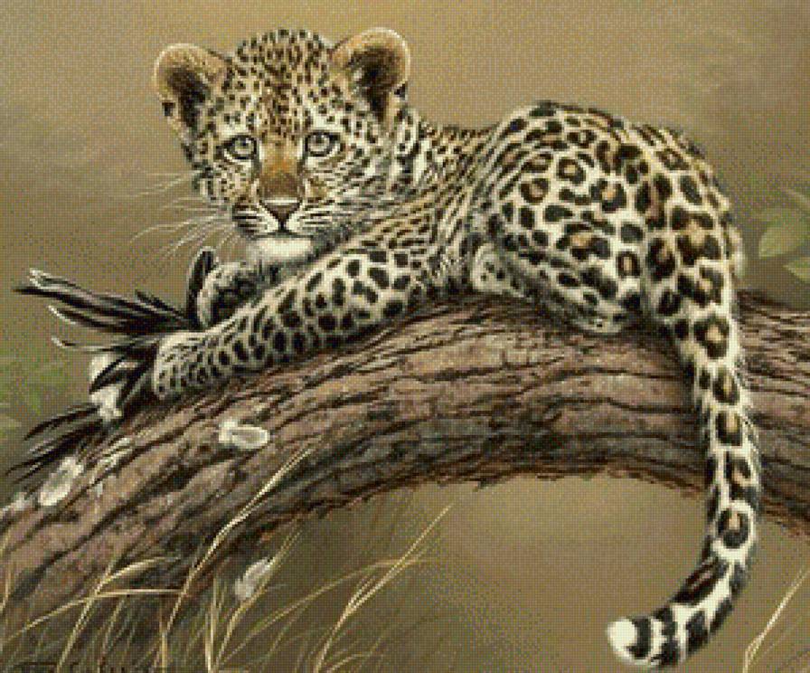 маленький охотник - предпросмотр