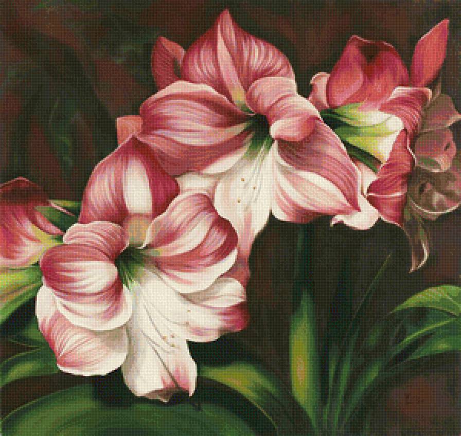 №1205017 - предпросмотр