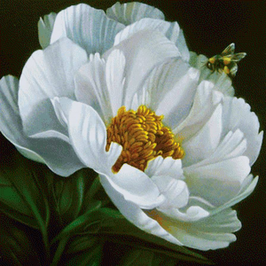 №1205031 - предпросмотр