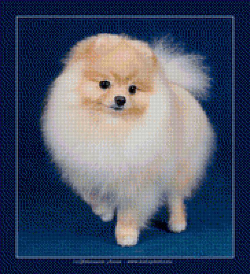 №1205125 - предпросмотр