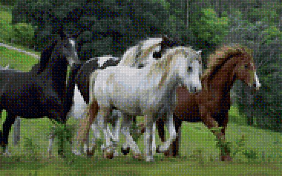 №1205272 - предпросмотр