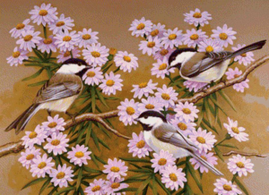птички - природа, птицы, цветы - предпросмотр