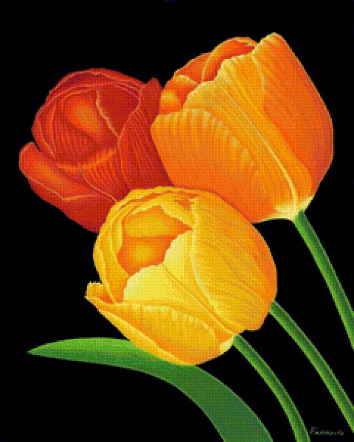 №1205468 - предпросмотр