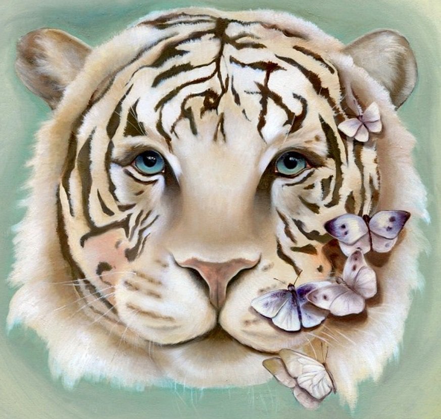 Белый тигр - животные, бабочки, тигр, хищник - оригинал
