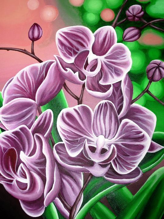Орхидеи - цветы, орхидея, букет, цветок - оригинал