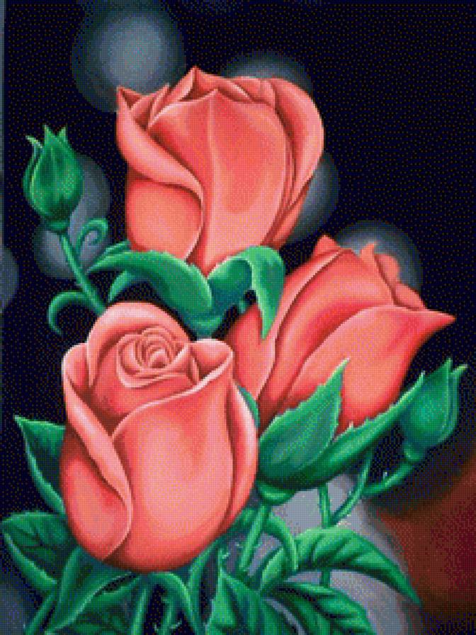 Розы - букет, роза, цветок, цветы - предпросмотр