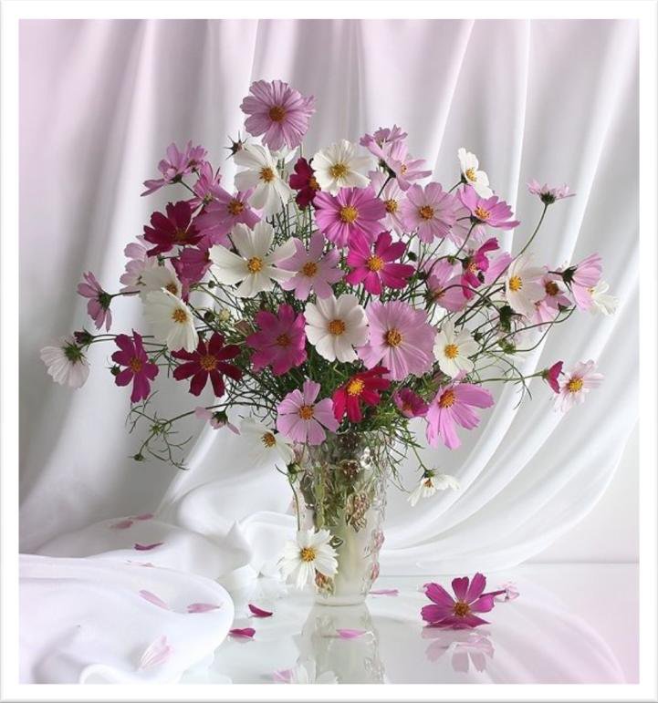 Космеи - подушка, цветы - оригинал