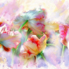 Схема вышивки «Тюльпаны. Alberto Guillen»