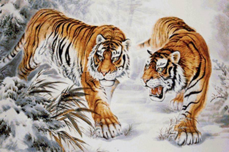 Тигры - дикие кошки, тигры - предпросмотр
