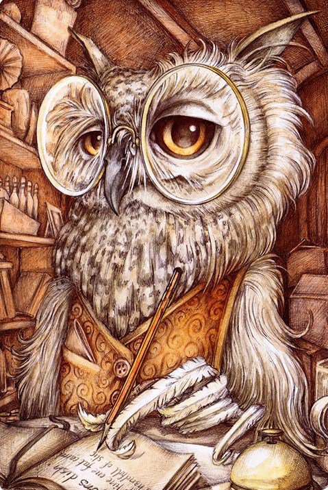Умная сова - картина, птицы - оригинал