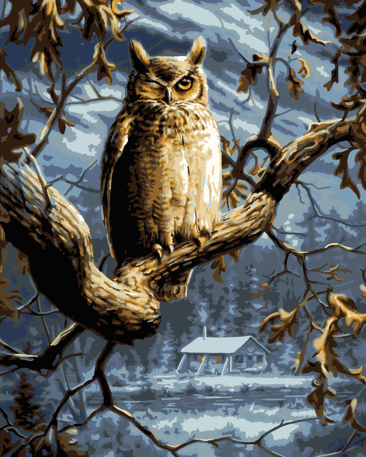 Ночной страж - картина, птицы, зима, природа, пейзаж - оригинал