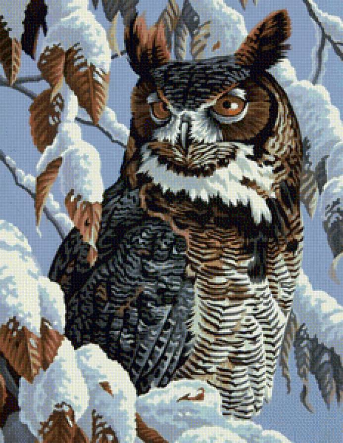 Ушастая сова - природа, зима, птицы, картина - предпросмотр