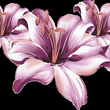 Схема вышивки «№1206555»