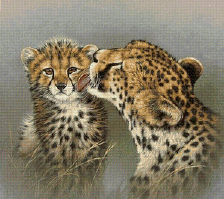 гепарды - предпросмотр