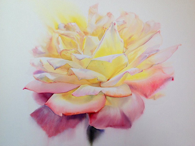 Роза. Sattha Homsawat ( La Fe) - цветы, художники - оригинал