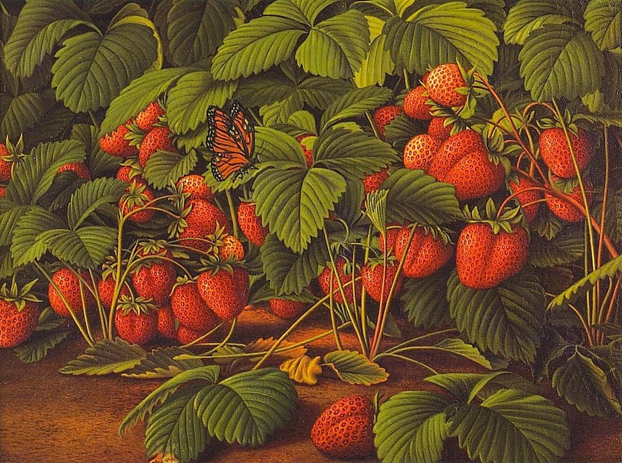 ягодки - бабочка, виктория, бабочки, клубника, ягоды - оригинал