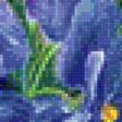 Предпросмотр схемы вышивки «нежные цветы» (№1207171)