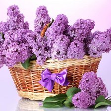 Схема вышивки «букет сирени»