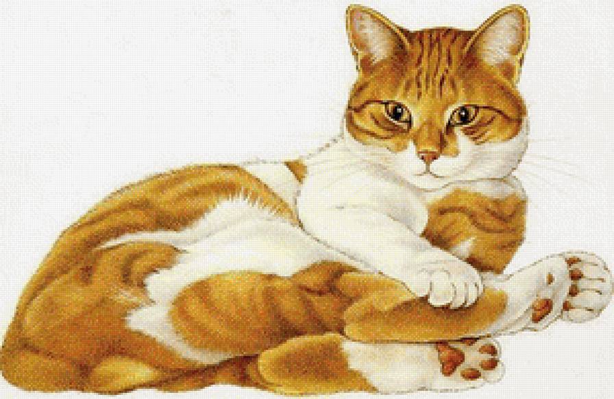 Любимчик - домашние животные - предпросмотр