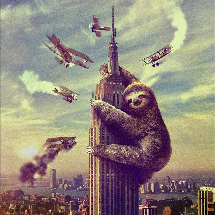Ленивец Кинг-Конг - небоскреб, самолеты, ленивец - оригинал