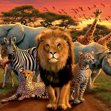 Схема вышивки «Саванна»