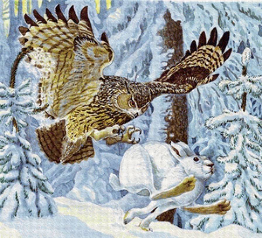 Зимняя охота - картина, природа, зима, птицы, звери - предпросмотр