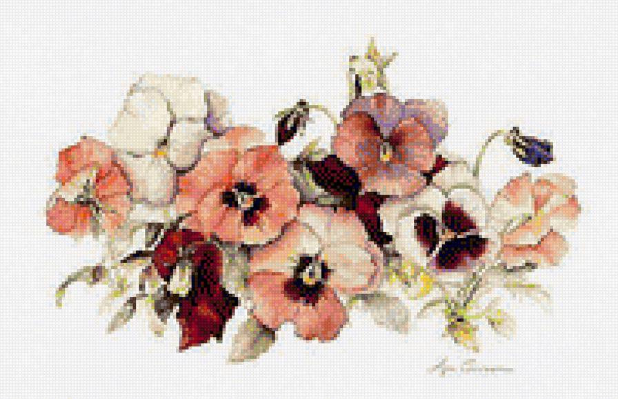 анютины глазки - предпросмотр