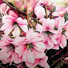 Схема вышивки «№1208461»