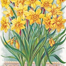 Схема вышивки «№1208544»