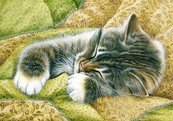 Сладкий сон - домашние любимцы - оригинал