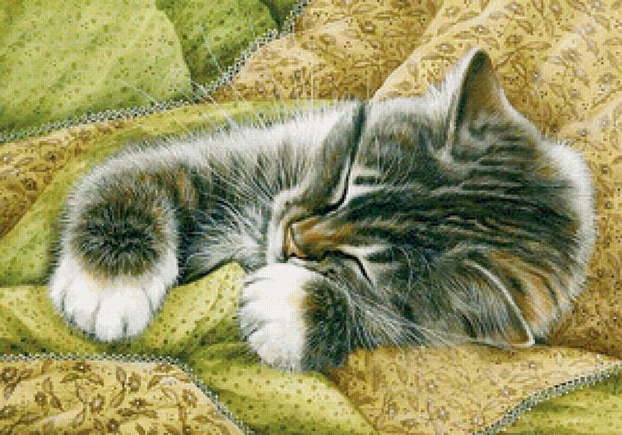 Сладкий сон - домашние любимцы - предпросмотр