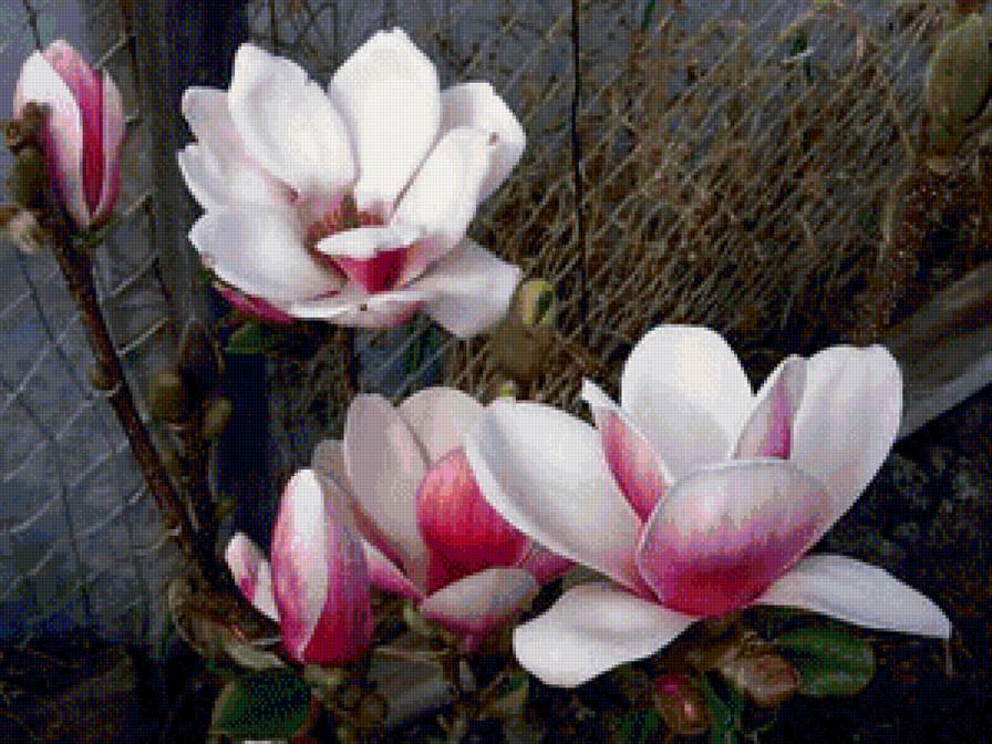 №1208786 - предпросмотр