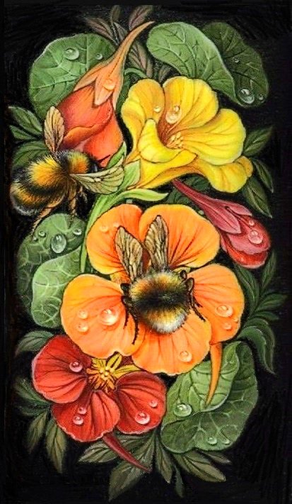 мохнатый шмель - насекомые, желтые цветы, шмели, шмель - оригинал