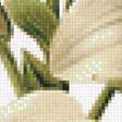 Предпросмотр схемы вышивки «Белая лилия» (№1208983)