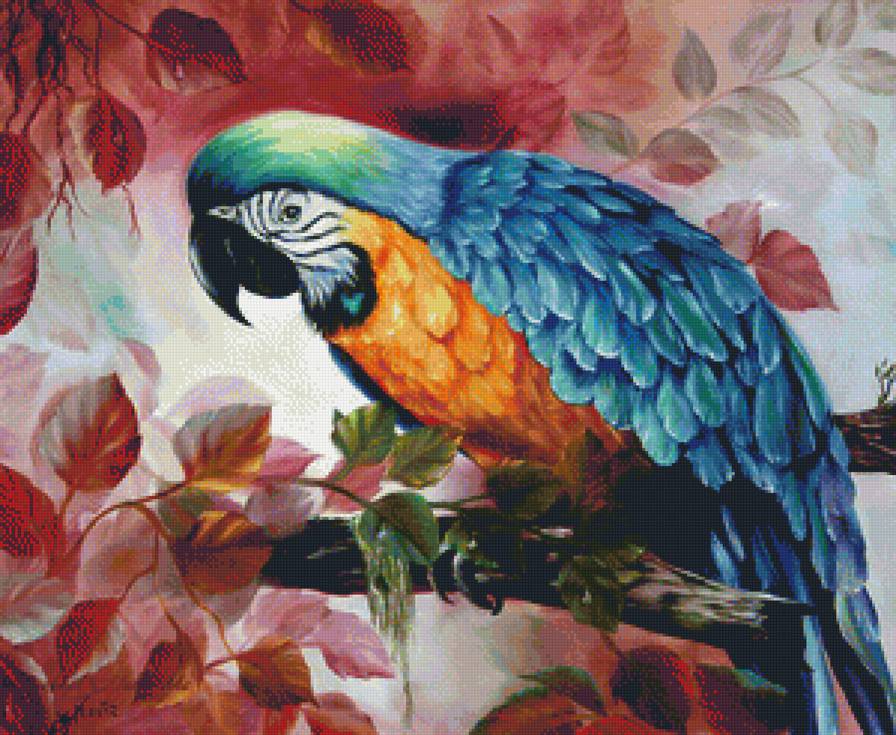 попугай - предпросмотр