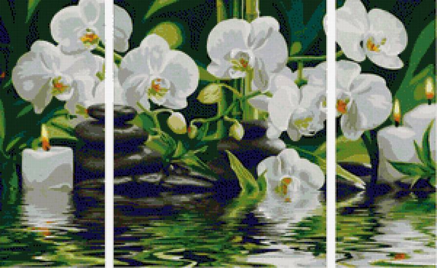 триптих, орхидеи - предпросмотр