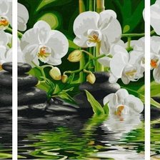 Схема вышивки «триптих, орхидеи»
