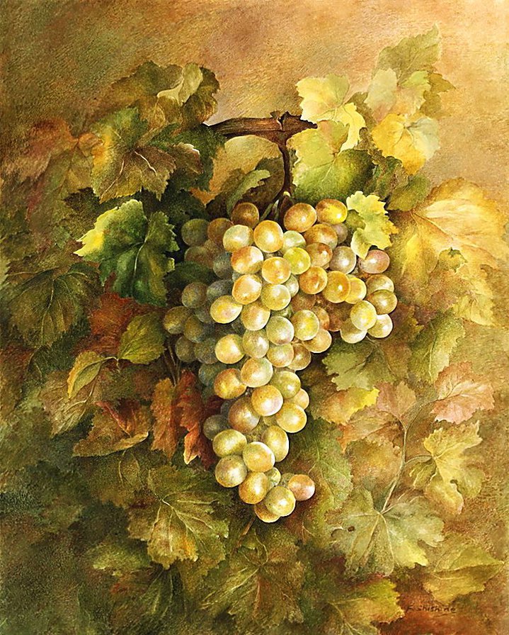Виноград. - оригинал