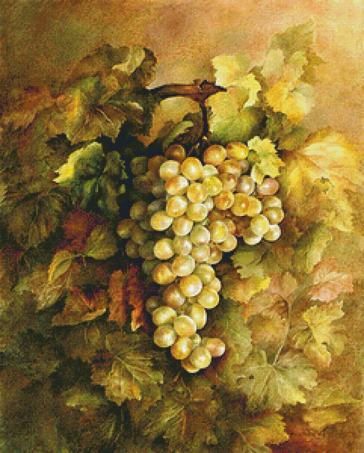 Виноград. - предпросмотр