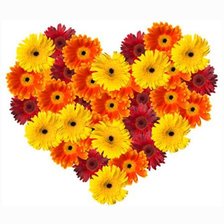 Схема вышивки «Сердце из цветов»