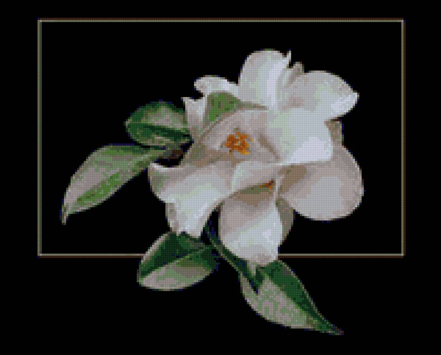 на черном - предпросмотр