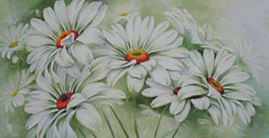 белые герберы - ромашка, гербера, ромашки, герберы, белые цветы - предпросмотр