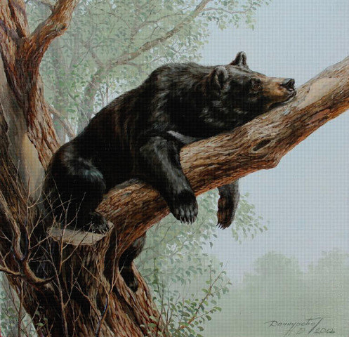 МИШКА НА ДЕРЕВЕ - оригинал