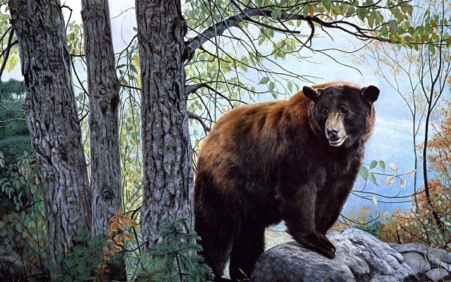 МИШКА НА КАМНЯХ - оригинал