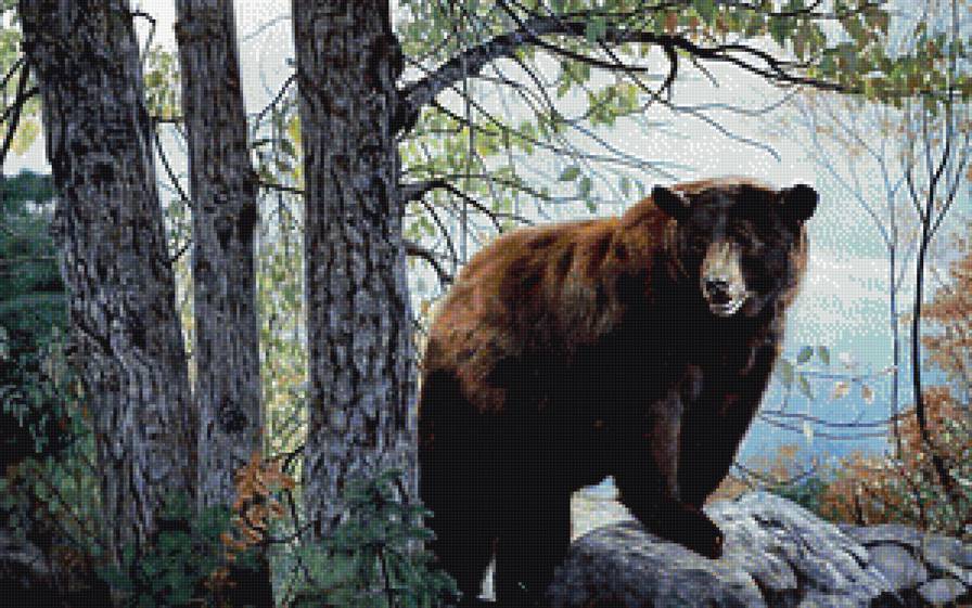 МИШКА НА КАМНЯХ - предпросмотр